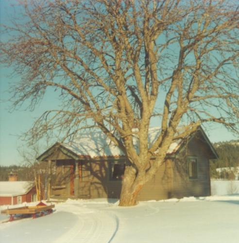 Vinter Älgsjöselen 1975